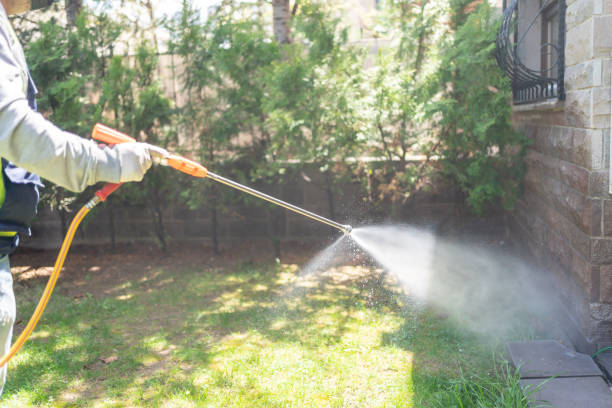 Wasp Removal Services in Rio Pinar, FL