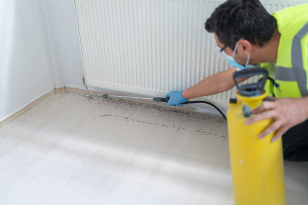 Best Best Pest Control Near Me  in Rio Pinar, FL